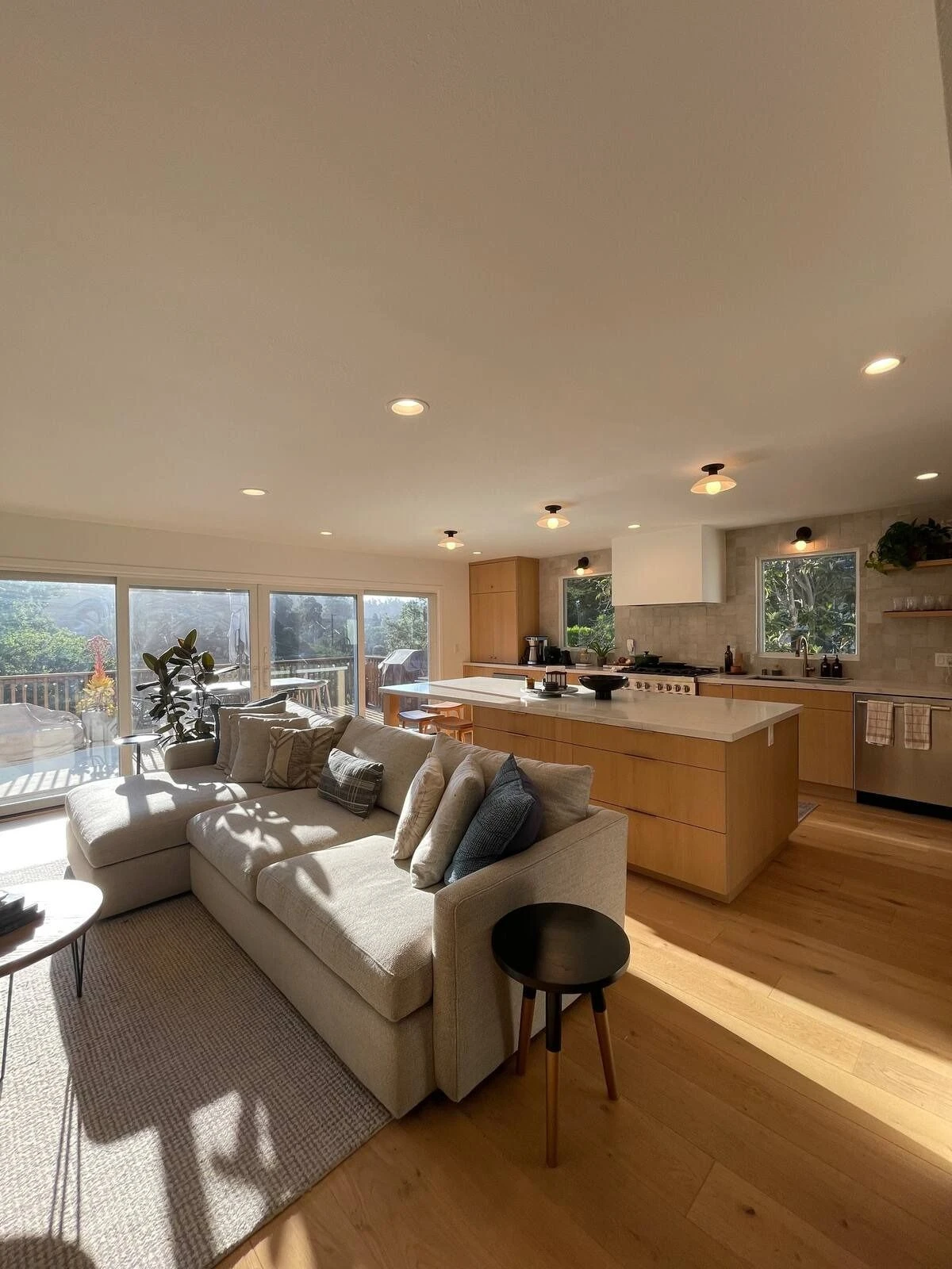 Regular House Cleaning